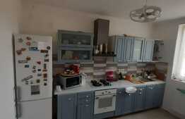 Casa individuala 497 mp utili cu teren aferent de 1460 mp! Sag!