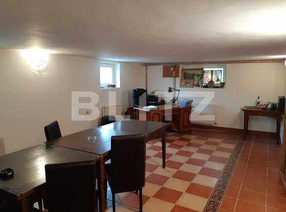 Casa de vânzare 8 camere Sag - 80112CV | BLITZ Timișoara | Poza8