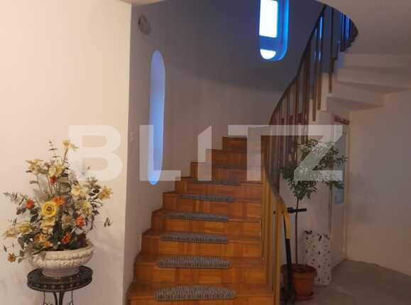 Casa de vânzare 8 camere Sag - 80112CV | BLITZ Timișoara | Poza4