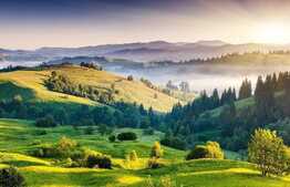 Teren extravilan cu intravilan in lucru comasat, 8 ha, in Timis!