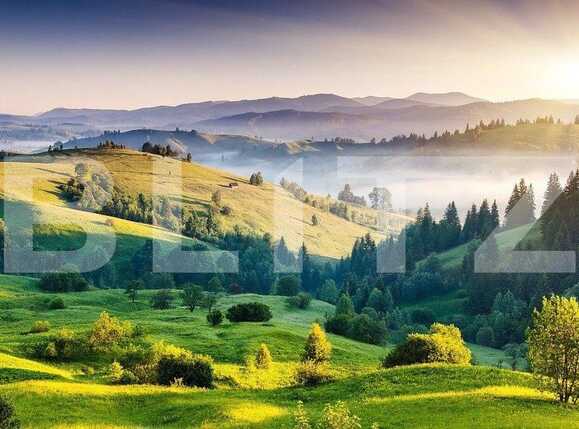 Teren de vânzare Exterior Vest - 80146TV | BLITZ Timișoara | Poza1