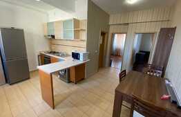 Apartament decomandat, modern, 2 camere, 55 mp, zona Badea Cartan