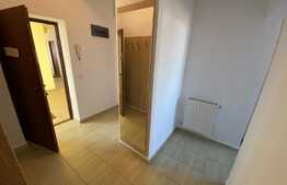 Apartament de o camera, modern, de 43 mp, zona Badea Cartan