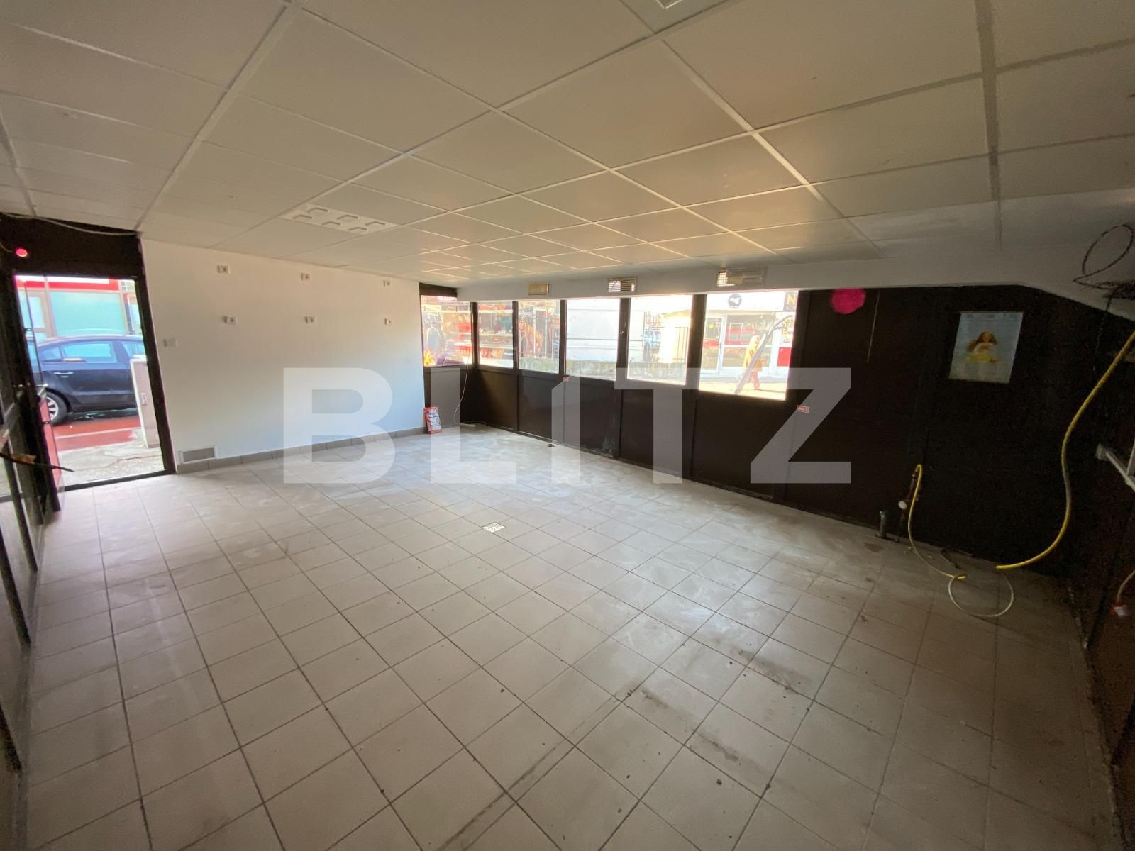 Spațiu comercial de închiriat Semicentral - 80228SIC | BLITZ Timișoara | Poza2