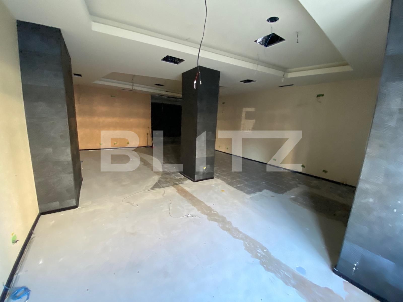 Spațiu comercial de închiriat Nord - 80245SIC | BLITZ Timișoara | Poza2