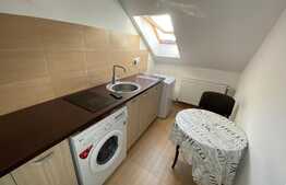 Garsoniera cocheta, la casa, zona Elisabetin