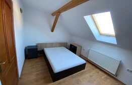 Garsoniera cocheta, la casa, zona Elisabetin