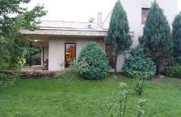 Casa spatioasa 300 mp utili, 800 mp teren, Zona linistita, Ronat