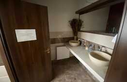 Spatiu comercial de inchiriat, modern, 500 mp, zona Dumbravita