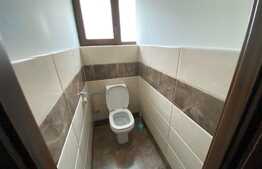 Spatiu comercial de inchiriat, modern, 500 mp, zona Dumbravita