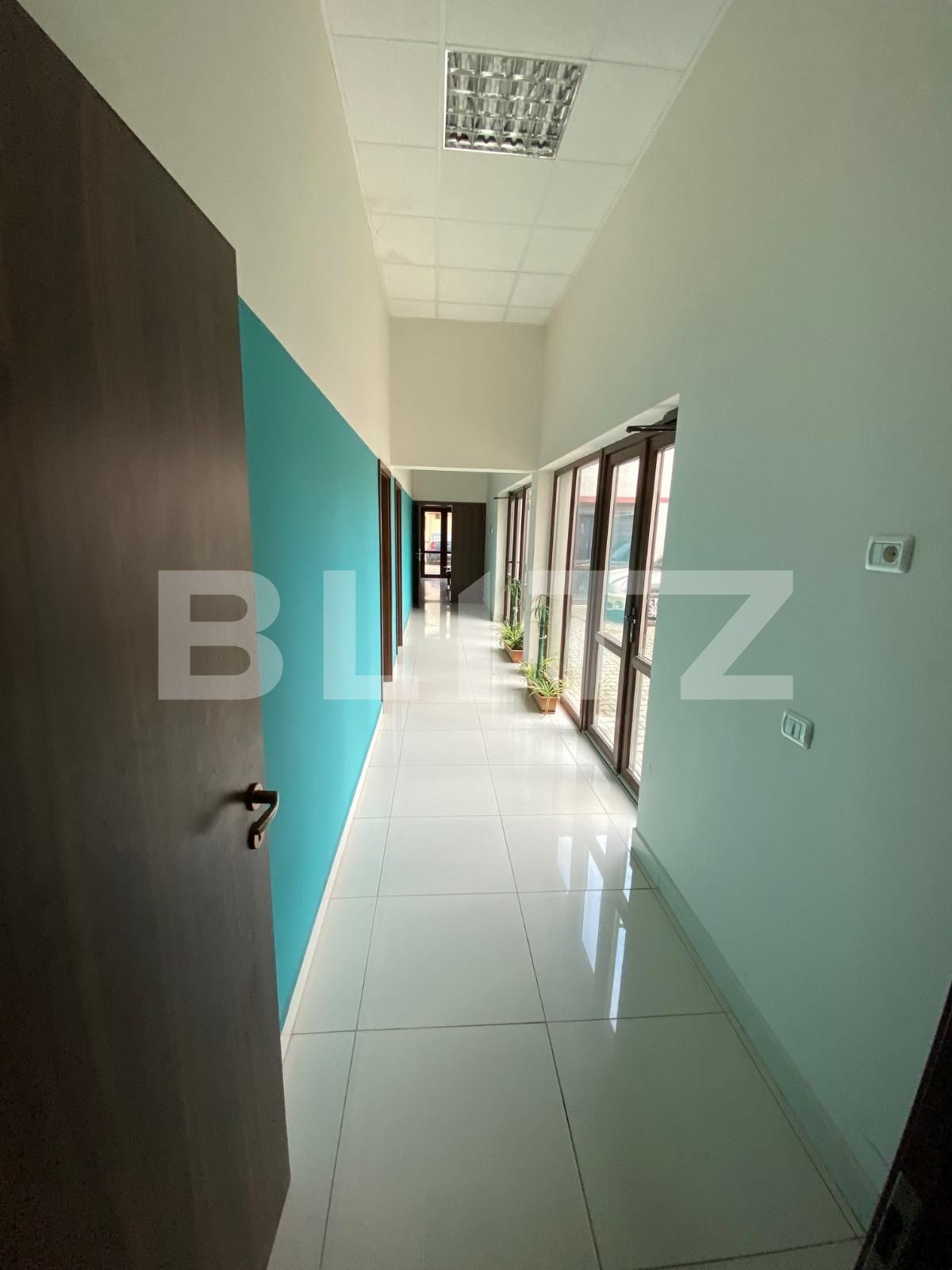 Spațiu comercial de închiriat Dumbravita - 80267SIC | BLITZ Timișoara | Poza5