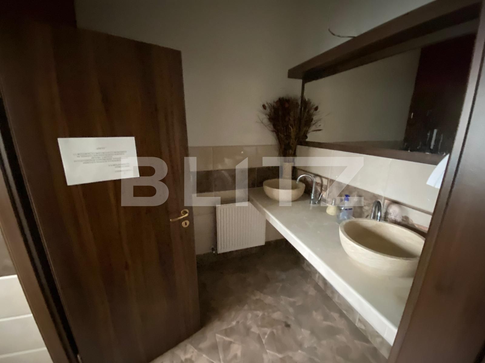Spațiu comercial de închiriat Dumbravita - 80267SIC | BLITZ Timișoara | Poza9
