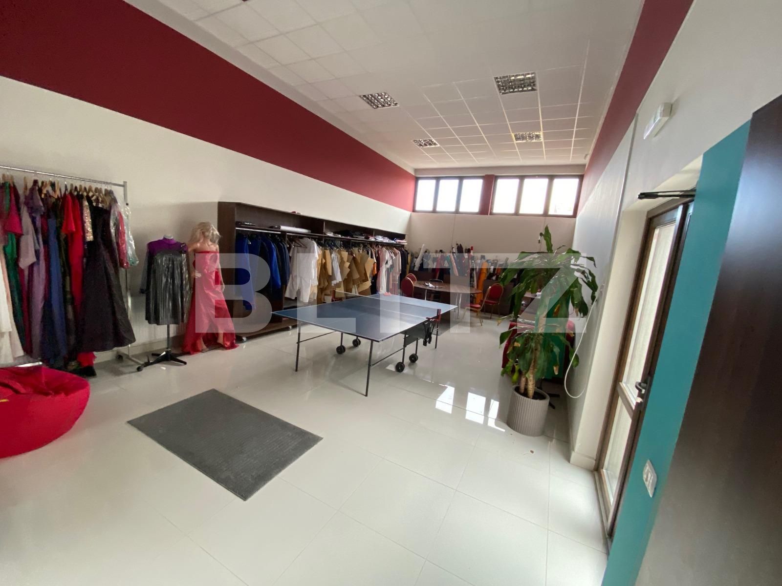 Spațiu comercial de închiriat Dumbravita - 80267SIC | BLITZ Timișoara | Poza4