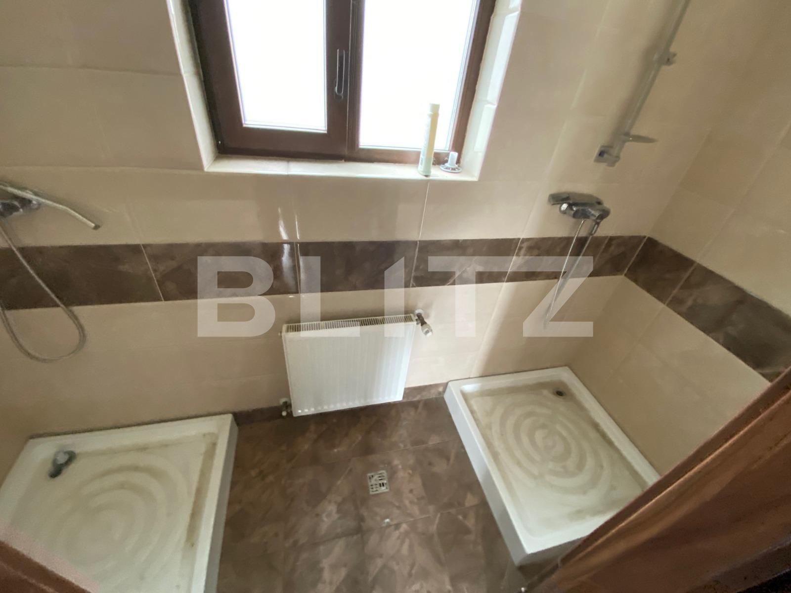Spațiu comercial de închiriat Dumbravita - 80267SIC | BLITZ Timișoara | Poza8