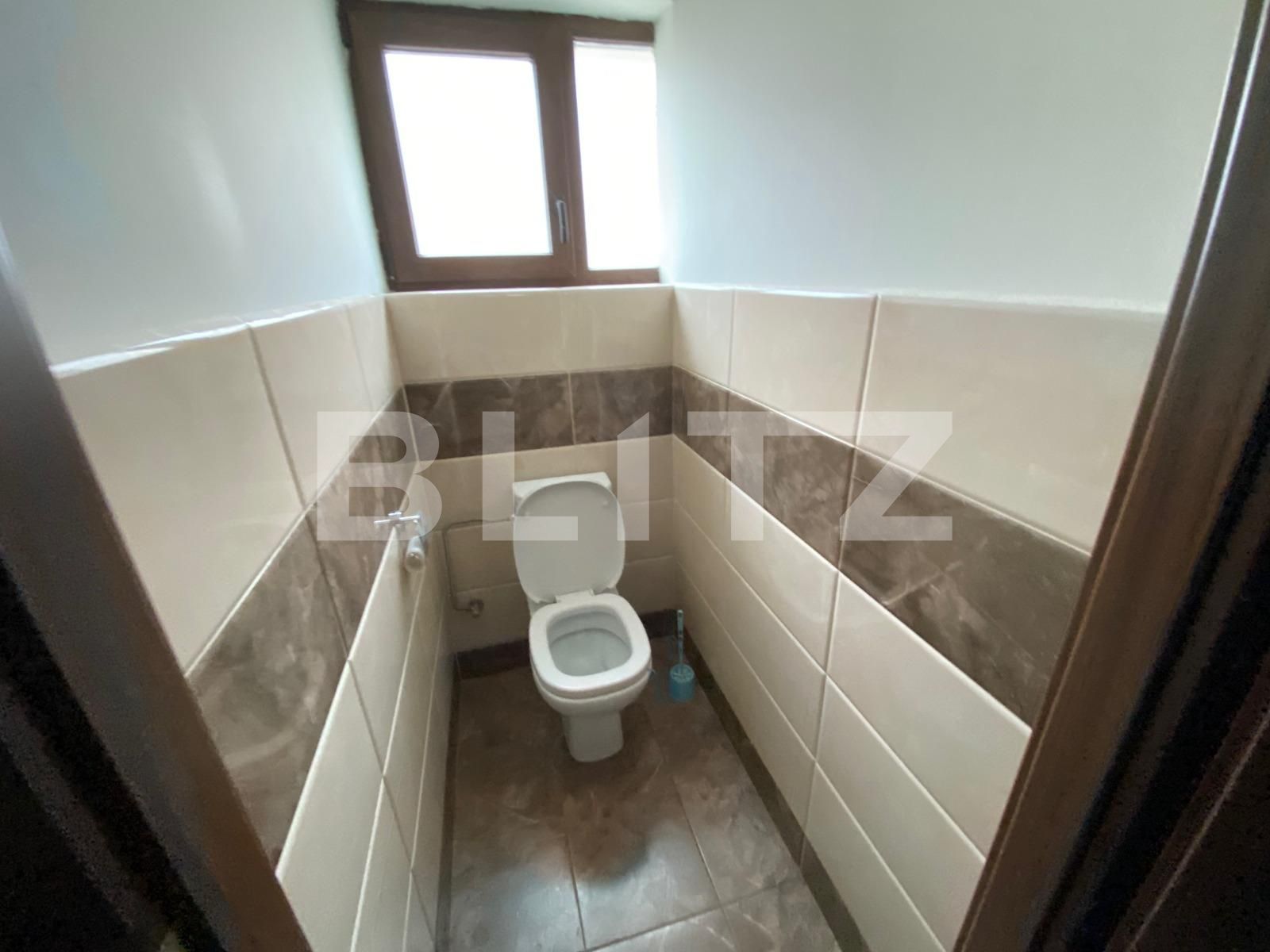 Spațiu comercial de închiriat Dumbravita - 80267SIC | BLITZ Timișoara | Poza10