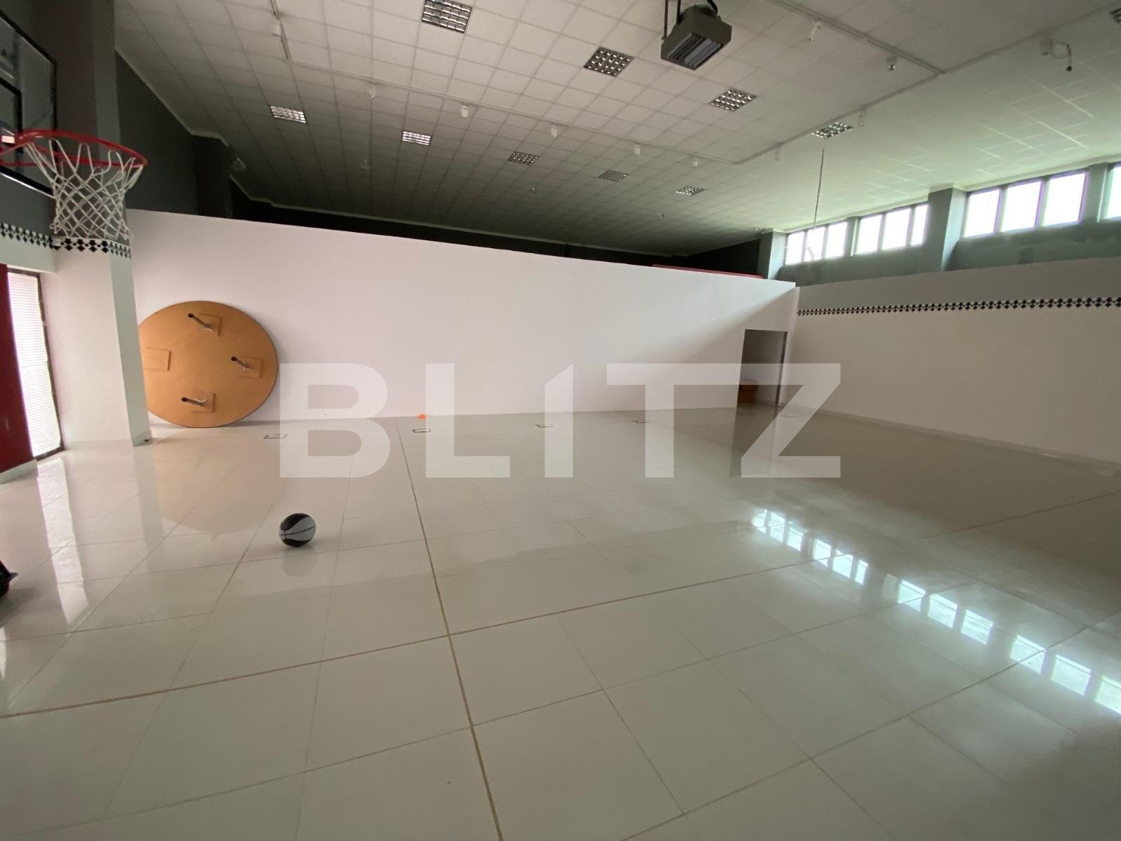Spațiu comercial de închiriat Dumbravita - 80267SIC | BLITZ Timișoara | Poza2