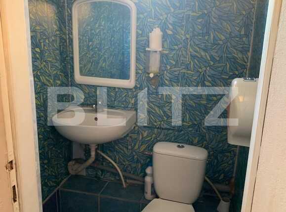 Spațiu comercial de închiriat Aradului - 80337SIC | BLITZ Timișoara | Poza6