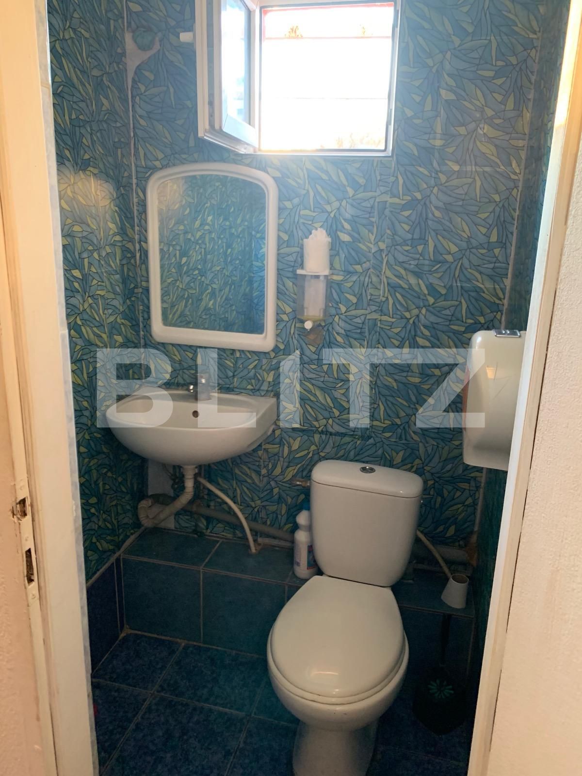 Spațiu comercial de închiriat Aradului - 80337SIC | BLITZ Timișoara | Poza6