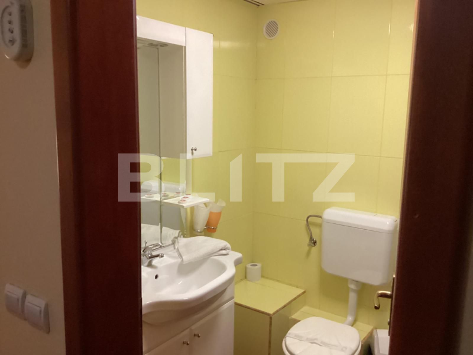 Spațiu comercial de vânzare Lipovei - 80407SVC | BLITZ Timișoara | Poza6