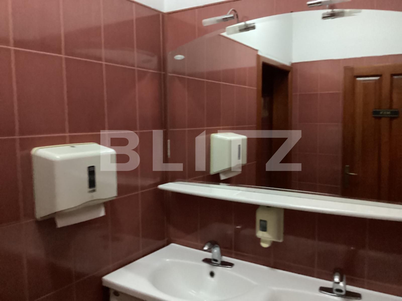 Spațiu comercial de vânzare Lipovei - 80407SVC | BLITZ Timișoara | Poza5