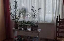 Casa individuala, 186 mp utili, 406 mp teren, Freidorf