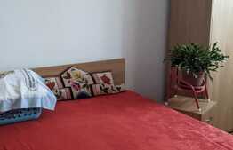 Casa individuala, 186 mp utili, 406 mp teren, Freidorf