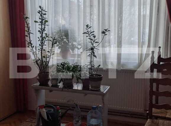 Casa de vânzare 5 camere Freidorf - 80420CV | BLITZ Timișoara | Poza6