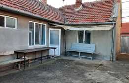 Doua case de vanzare pe un teren mare in Timisoara!