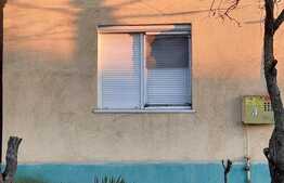 Doua case de vanzare pe un teren mare in Timisoara!