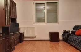 Doua case de vanzare pe un teren mare in Timisoara!