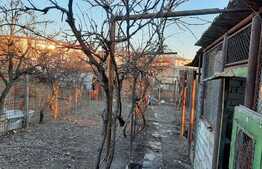 Doua case de vanzare pe un teren mare in Timisoara!