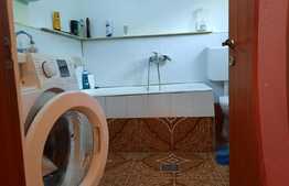 Doua case de vanzare pe un teren mare in Timisoara!