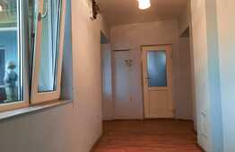 Doua case de vanzare pe un teren mare in Timisoara!