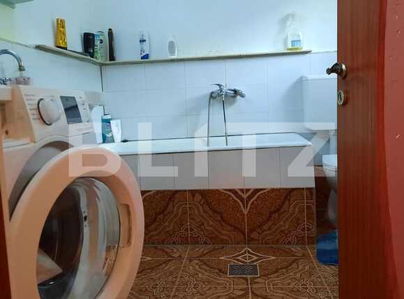 Casa de vânzare 6 camere Sagului - 80512CV | BLITZ Timișoara | Poza7