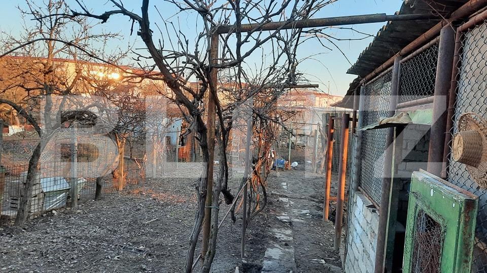 Casa de vânzare 6 camere Sagului - 80512CV | BLITZ Timișoara | Poza12