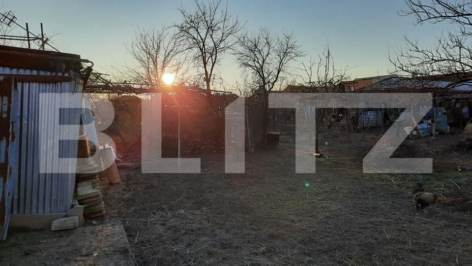 Casa de vânzare 6 camere Sagului - 80512CV | BLITZ Timișoara | Poza13