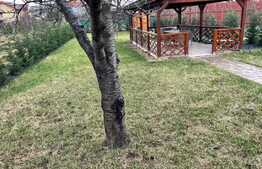 Ocazie! Casa cu rafinament, 3 dormitoare, in zona Ciarda Rosie Timisoara