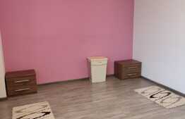 Apartament de 2 camere in zona Lipovei