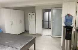 Pensiune cu 13 camere în zonă centrală din Timişoara