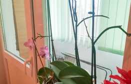 Apartament 3 camere, etaj 1, decomandat, 65 mp, in zona Steaua