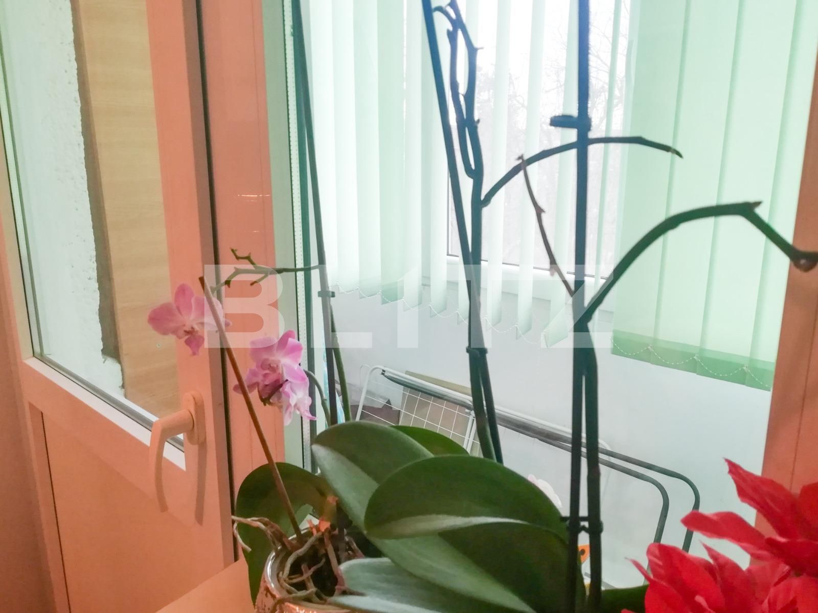 Apartament de vânzare 3 camere Steaua - 80688AV | BLITZ Timișoara | Poza10