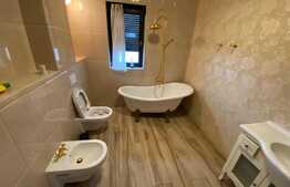 Penthouse de inchiriat, ultramodern, 60 mp utili + 40 mp terasa, zona Lipovei