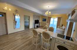 Penthouse de inchiriat, ultramodern, 60 mp utili + 40 mp terasa, zona Lipovei