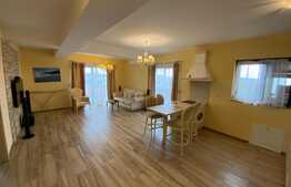 Penthouse de inchiriat, ultramodern, 60 mp utili + 40 mp terasa, zona Lipovei