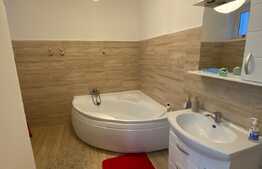 Apartament de 3 camere, 100 mp, zona Badea Cartan