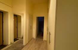 Apartament de 3 camere, 100 mp, zona Badea Cartan
