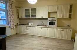 Apartament de 3 camere, 100 mp, zona Badea Cartan