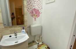 Apartament de 3 camere, 100 mp, zona Badea Cartan