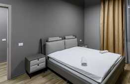 Apartament PREMIUM, design industrial, la cheie, terasa, zona Cetatii