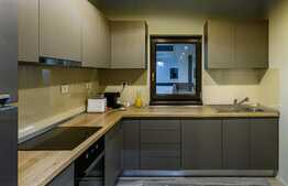 Apartament PREMIUM, design industrial, la cheie, terasa, zona Cetatii